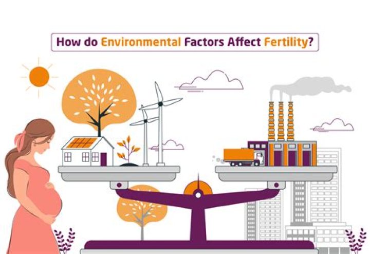 What are the factors affecting the rate of enrollment?