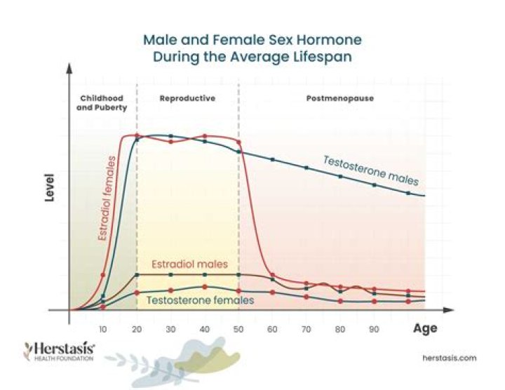 What are the major classes of sex hormones?