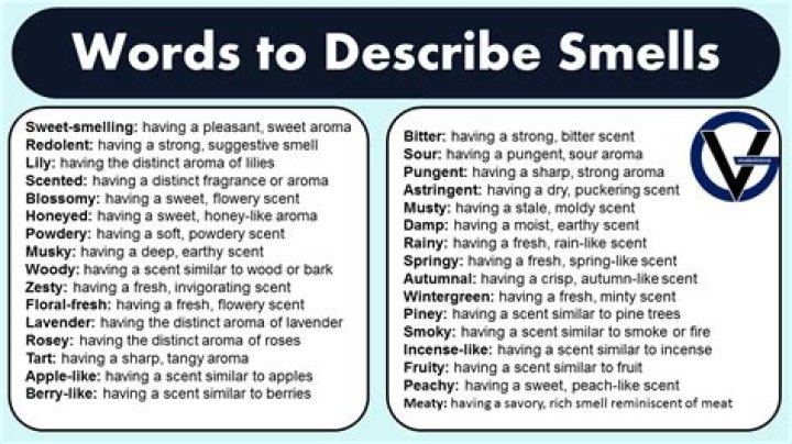 What are the types of smells?