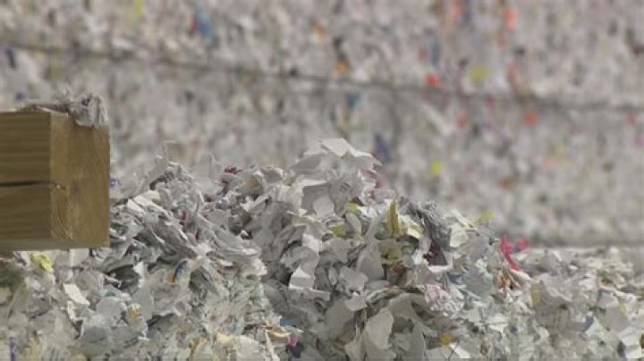 What bag does shredded paper go in?