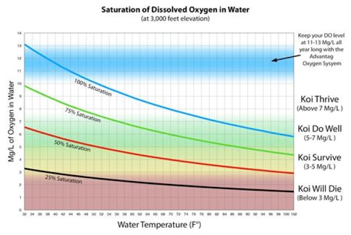 What causes lack of oxygen in water?