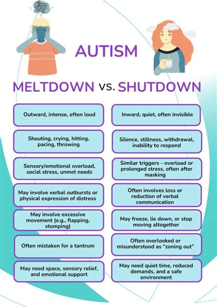 What does an autistic meltdown look like in adults?