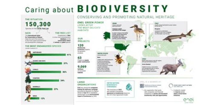 What does biodiversity index mean?