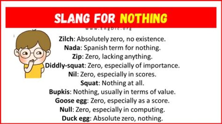 What does not for nothing slang mean?
