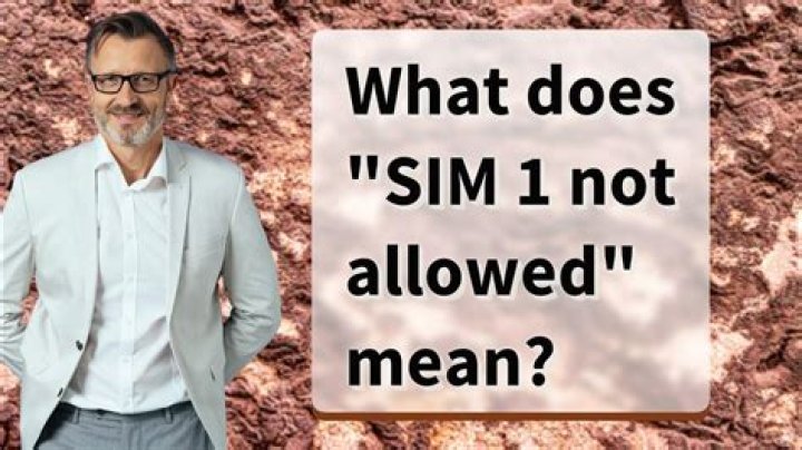 What does SIM mean in construction?
