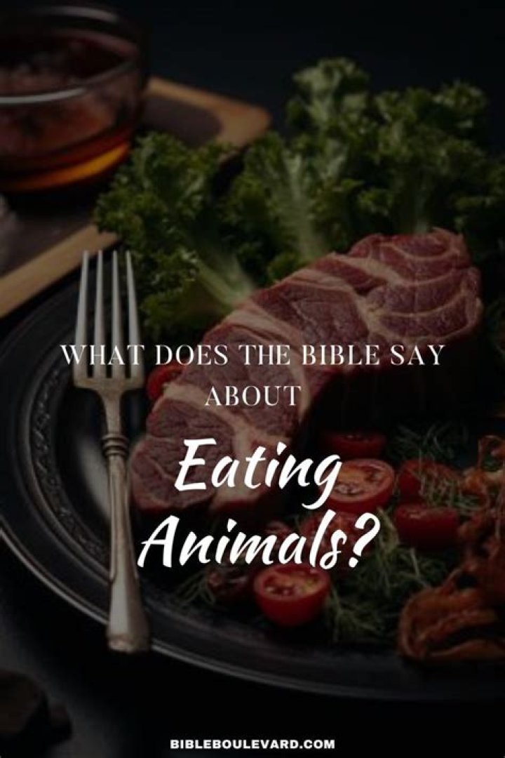 What does the Torah say about eating animals?