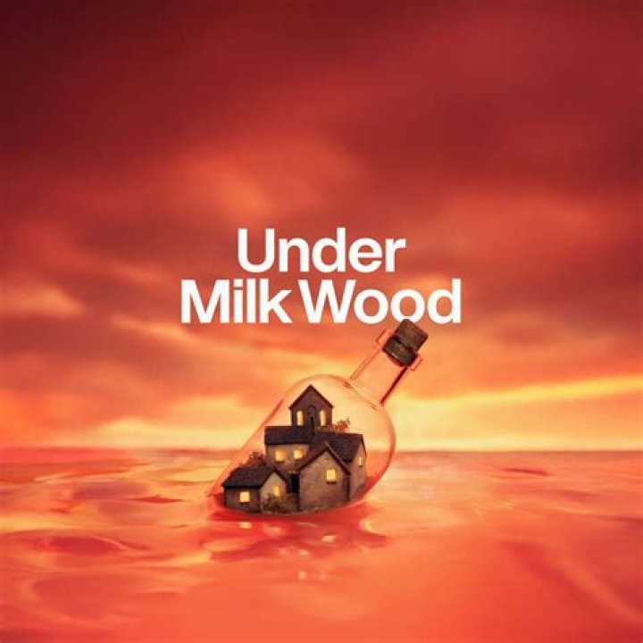 What does Under Milk Wood mean?
