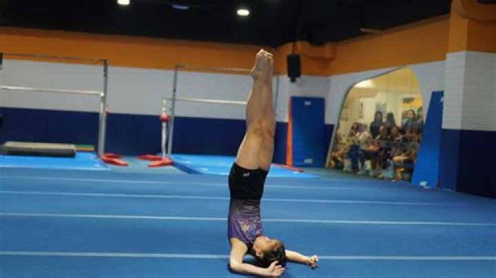 What is a gymnastic spotter?