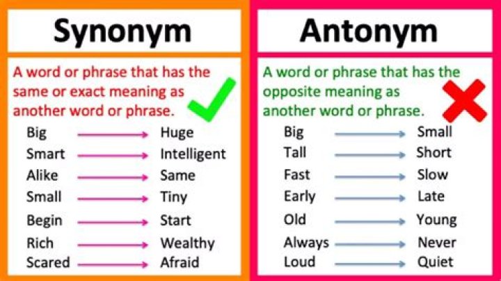 What is a synonym and antonym for vibrant?