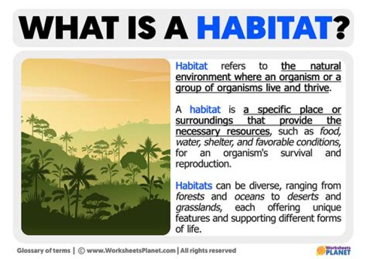What is a synonym for Habitat?