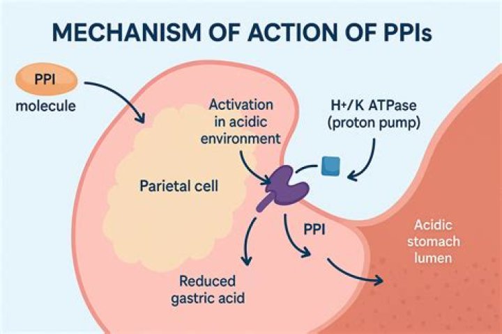 What is an ATPase activity?