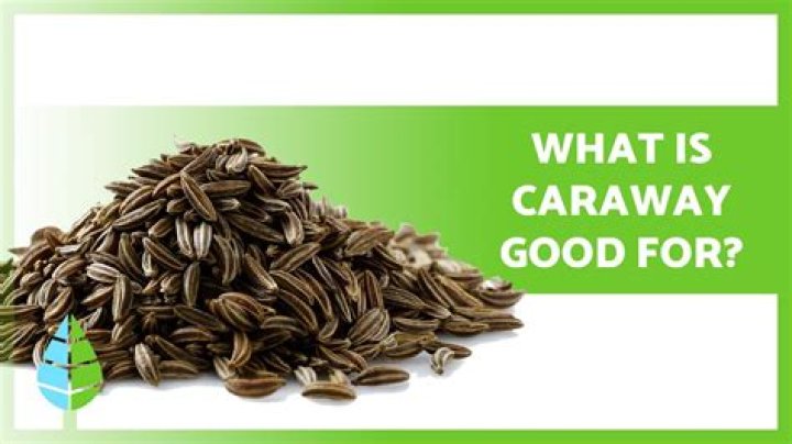 What is caraway fruit?