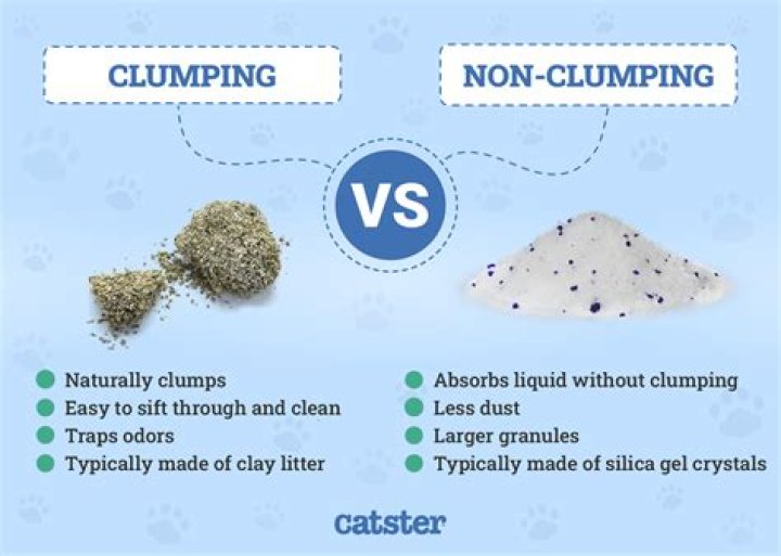 What is clumping of cells?