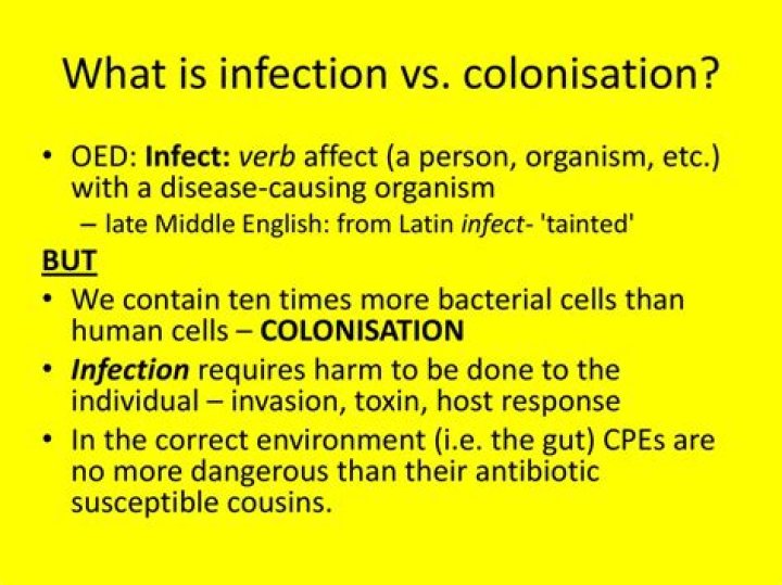 What is infection Colonisation?