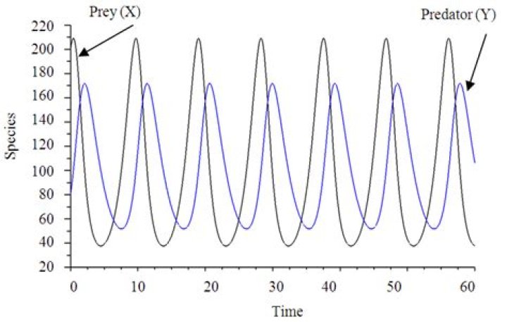 What is predator/prey oscillation?