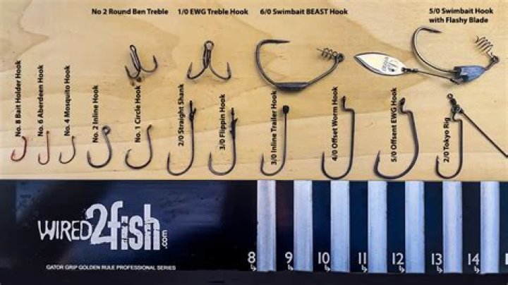 What is the best size hook for surf fishing?