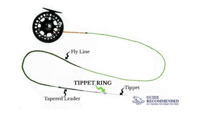 What is the difference between tippet and fishing line?