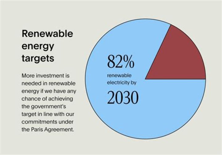 What is the government's renewable energy target?