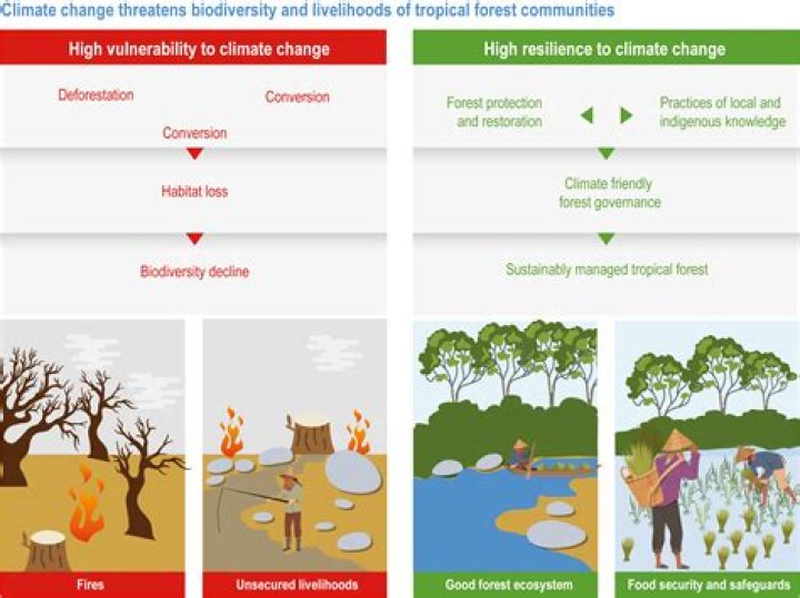 What is the importance of climate change to disaster risk reduction?