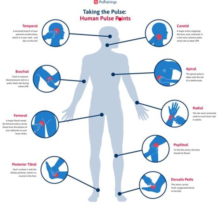 What is the meaning of pulse in pulse polio?