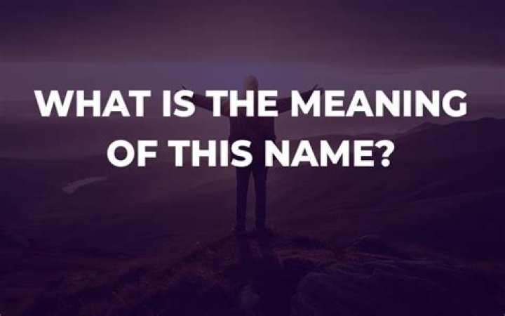 What is the meaning of the name Ned?