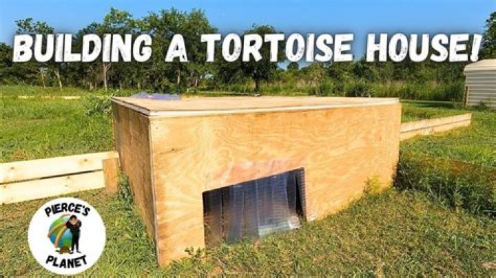 What is the name of tortoise house?