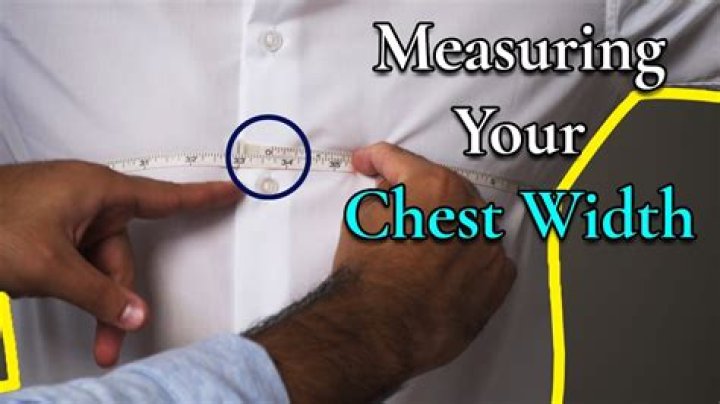 What is the normal chest measurement?