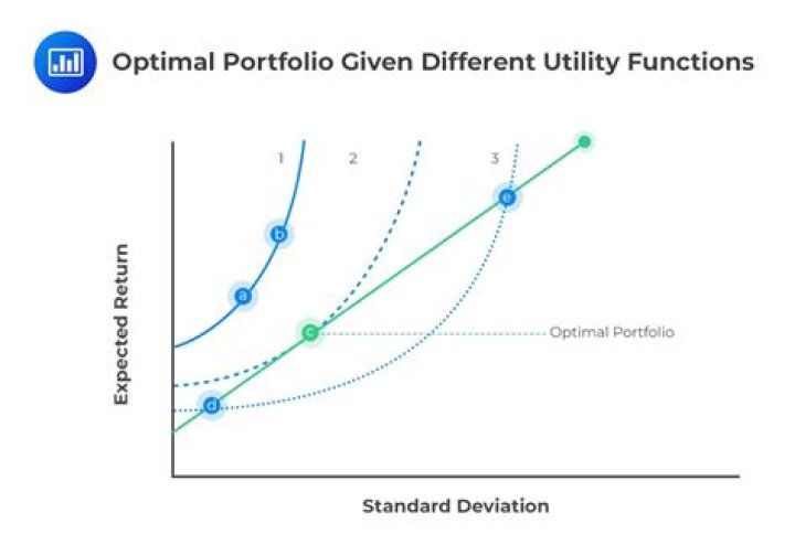 What is the optimal portfolio allocation?