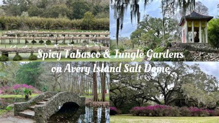 What is there to do in Exeter at night?