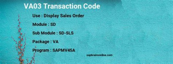 What is va03 SAP?