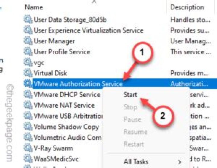 What is VMware authorization service?