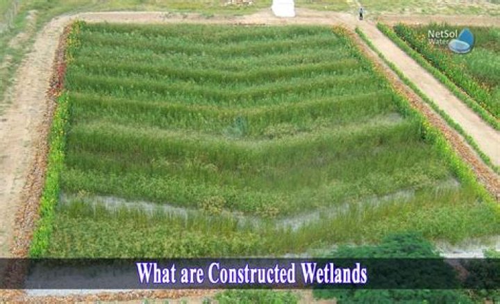 What is wetland convention?