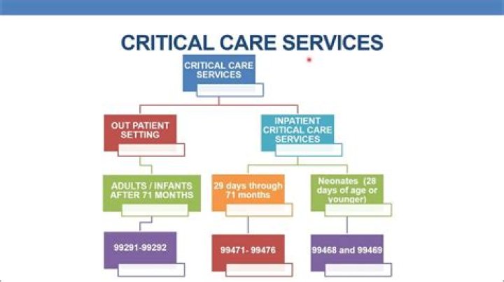 What services are included in critical care codes?