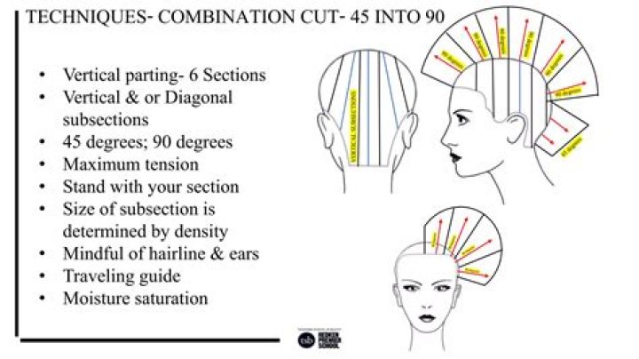 What subsection of hair determines the length that the hair will be cut?