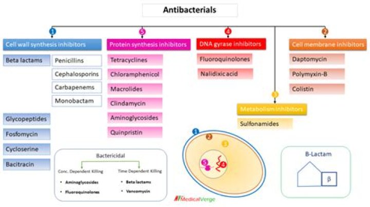 What teas are antibacterial?
