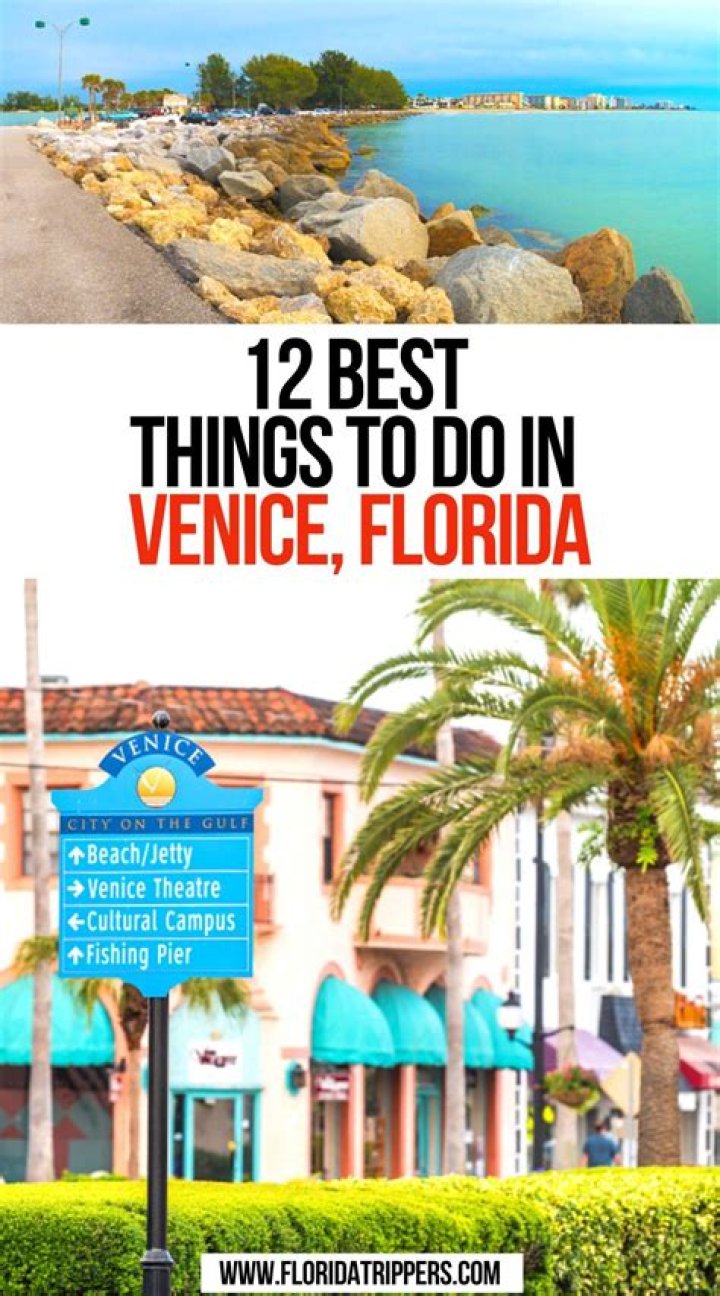 What to do in Venice Florida when it rains?
