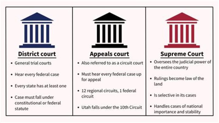 What type of cases do circuit courts hear?