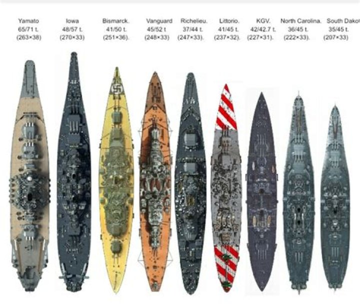 What types of ships are in Battleship?