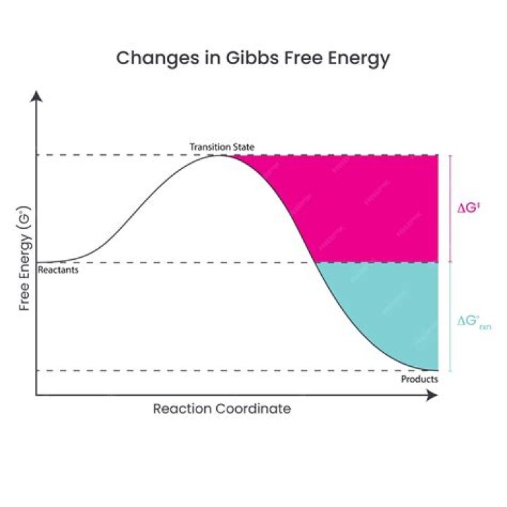 Where does Gibbs free energy come from?