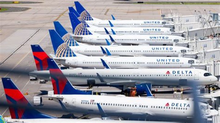 Which airlines are partners with American?