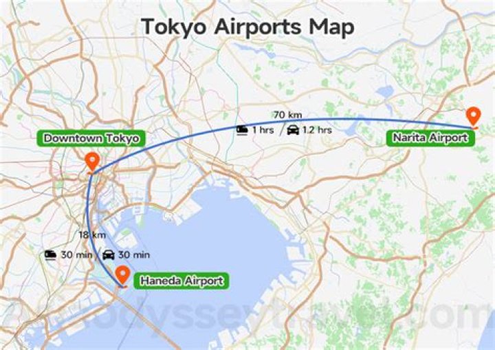 Which airport is closer to Sandton?