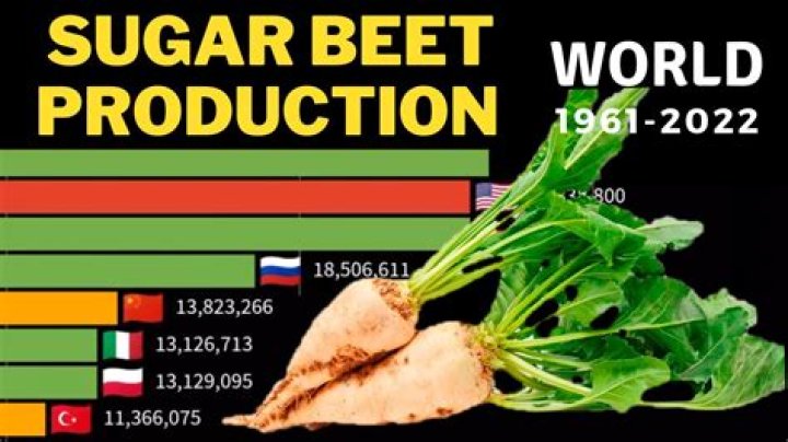 Which state grows the most sugar beets?