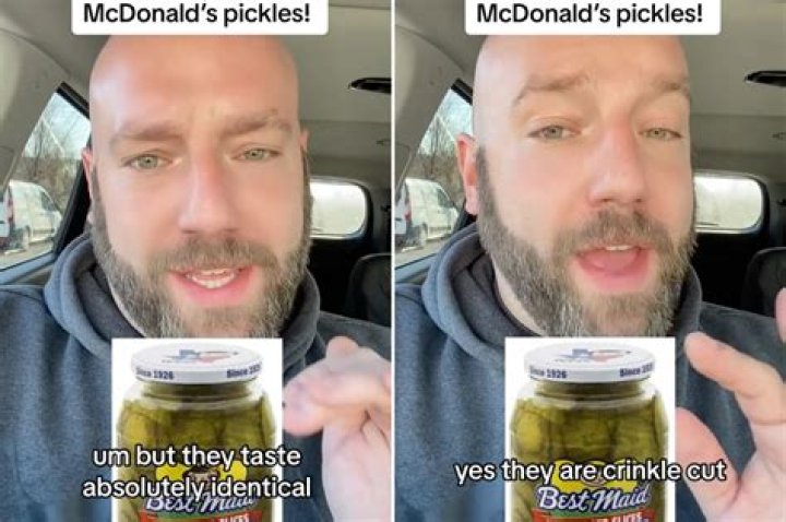 Why do pickles taste bitter?