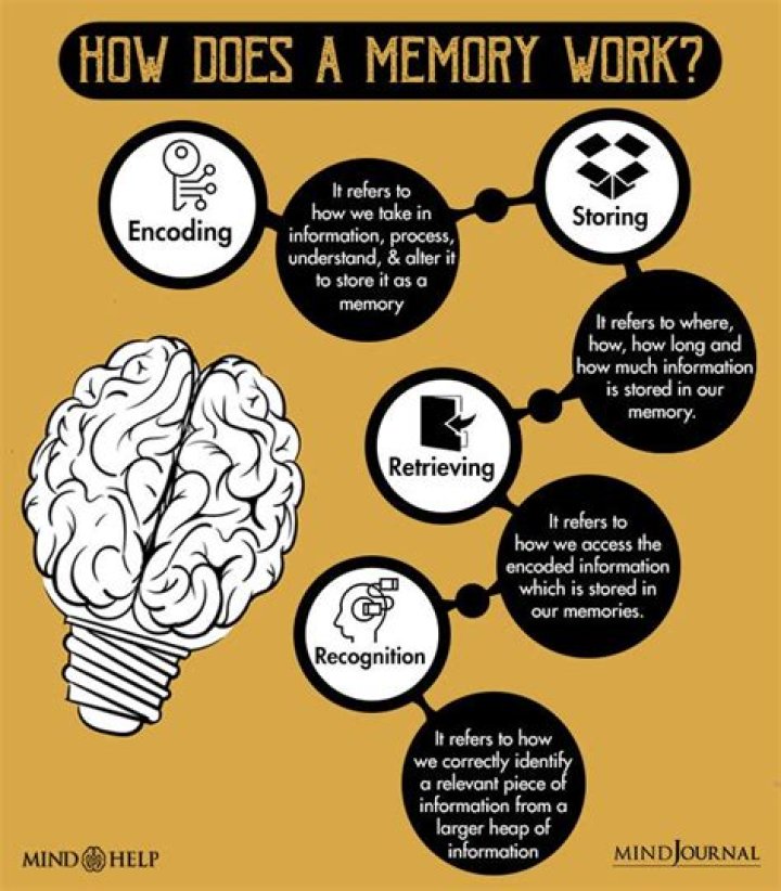 Why is historical memory important?